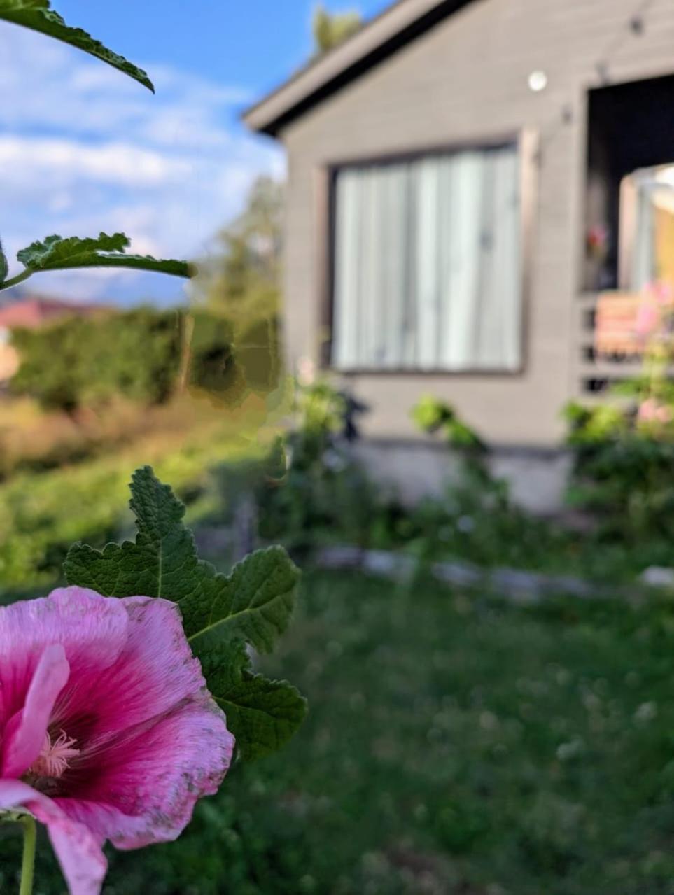 Cottage Kazbegi Sioni Exteriör bild